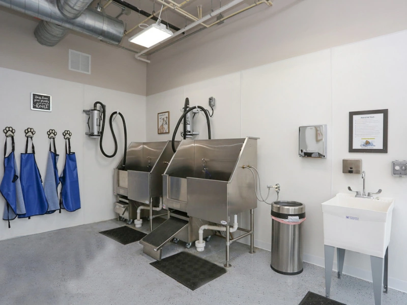 Pet Spa at Mammoth Springs Pet Spa at Mammoth Springs